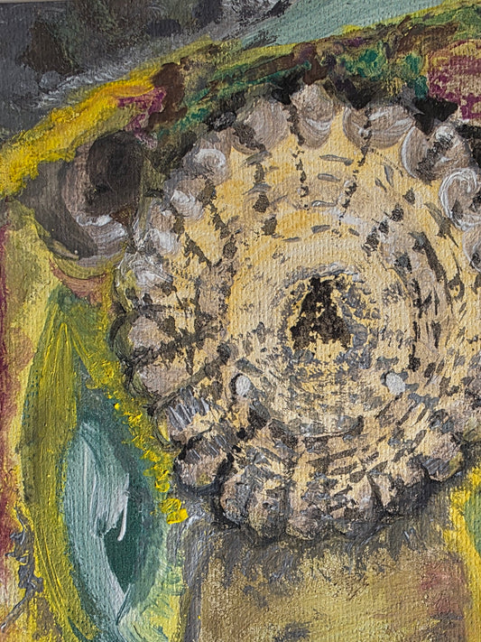 Limpet